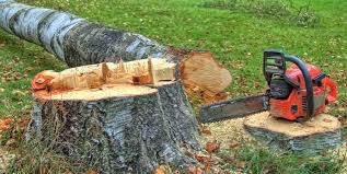 Professional Tree Services in Chouteau, OK