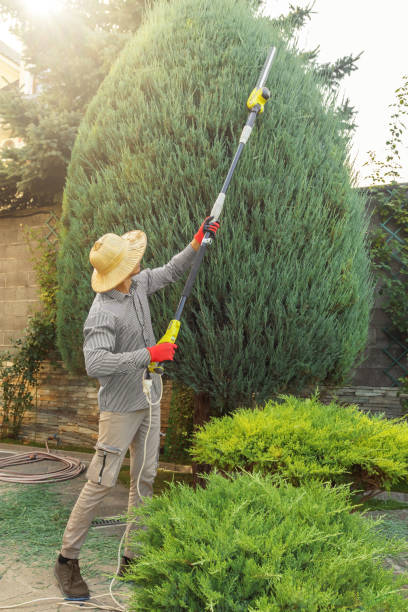 Best Tree Risk Assessment  in Chouteau, OK